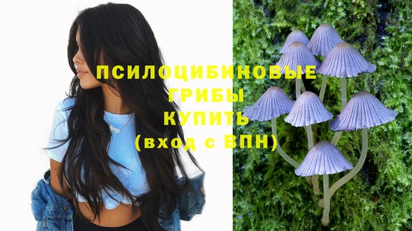 спайс Бородино