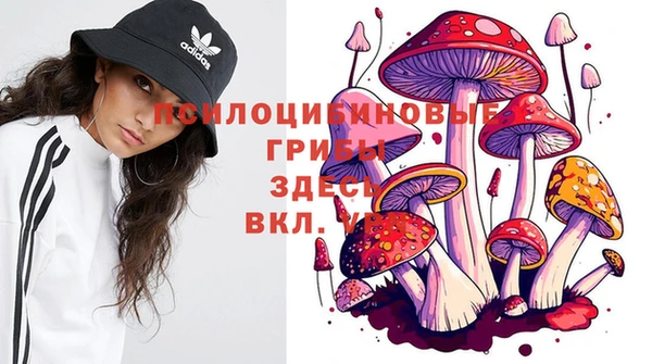 синтетический гашиш Бугульма