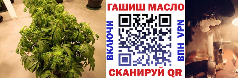 ТГК THC oil Волгоград