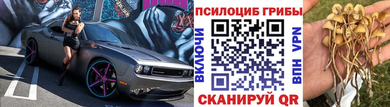 Купить закладки  Волгоград  Псилоцибиновые грибы GOLDEN TEACHER 